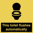 this-toilet-flushes-automatically~